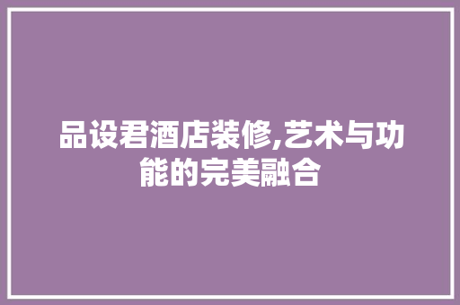 品设君酒店装修,艺术与功能的完美融合 软装设计