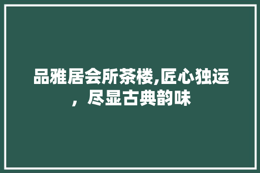 品雅居会所茶楼,匠心独运，尽显古典韵味