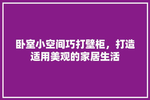 卧室小空间巧打壁柜，打造适用美观的家居生活 家居装修