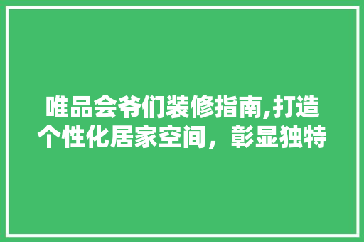 唯品会爷们装修指南,打造个性化居家空间，彰显独特品味 客厅装修