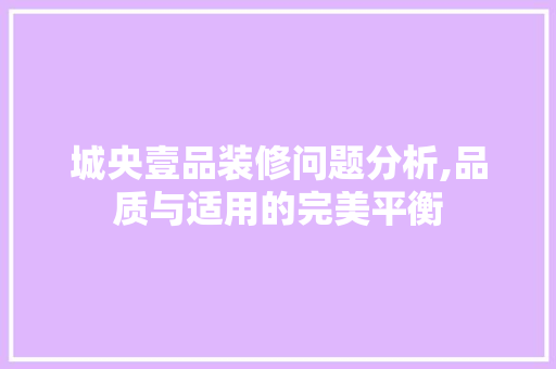 城央壹品装修问题分析,品质与适用的完美平衡