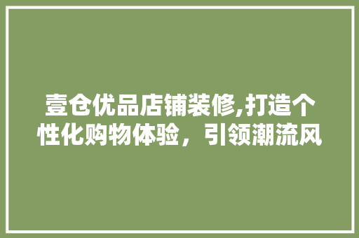 壹仓优品店铺装修,打造个性化购物体验，引领潮流风尚 木雕艺术