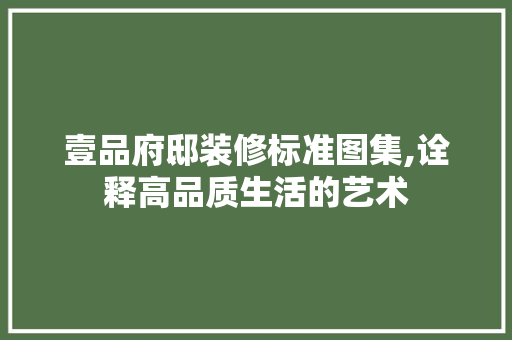 壹品府邸装修标准图集,诠释高品质生活的艺术 现代风格装饰