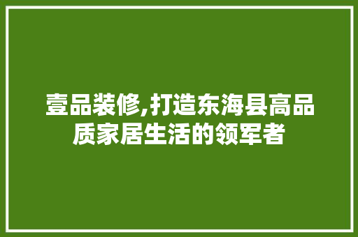 壹品装修,打造东海县高品质家居生活的领军者 室内设计