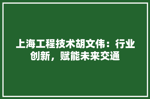 上海工程技术胡文伟：行业创新，赋能未来交通 软装设计