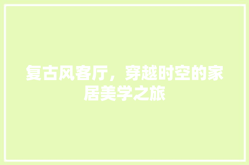 复古风客厅，穿越时空的家居美学之旅 地板材料