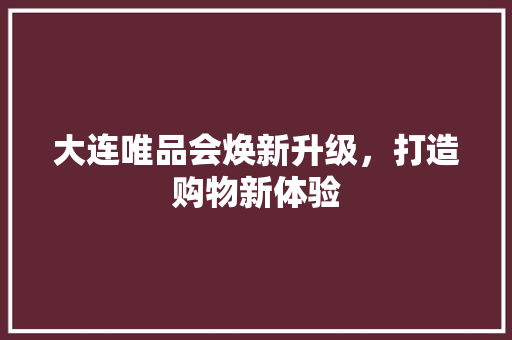 大连唯品会焕新升级，打造购物新体验 现代风格装饰