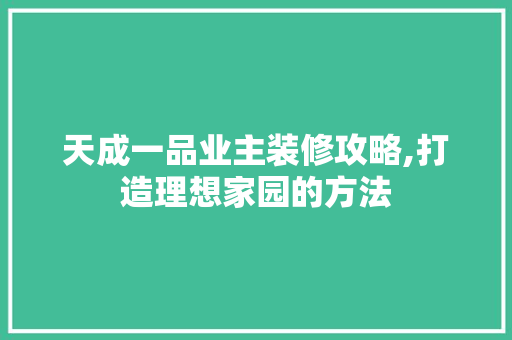 天成一品业主装修攻略,打造理想家园的方法 现代风格装饰