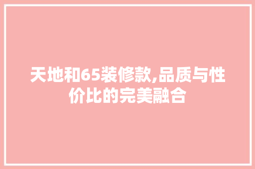 天地和65装修款,品质与性价比的完美融合 软装设计