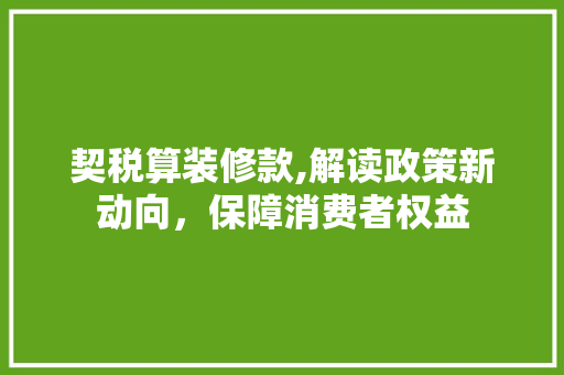 契税算装修款,解读政策新动向，保障消费者权益 卧室装修