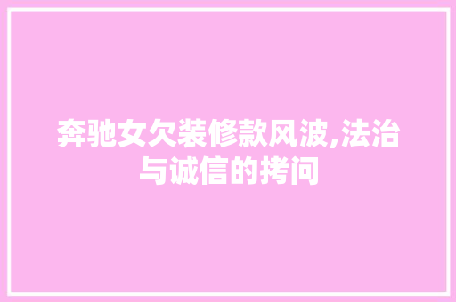 奔驰女欠装修款风波,法治与诚信的拷问