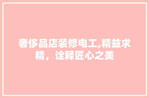 奢侈品店装修电工,精益求精，诠释匠心之美