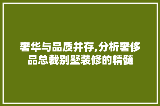 奢华与品质并存,分析奢侈品总裁别墅装修的精髓 现代风格装饰