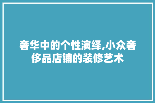 奢华中的个性演绎,小众奢侈品店铺的装修艺术