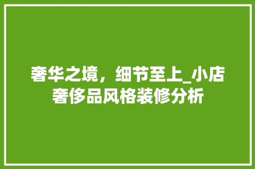 奢华之境，细节至上_小店奢侈品风格装修分析 客厅装修