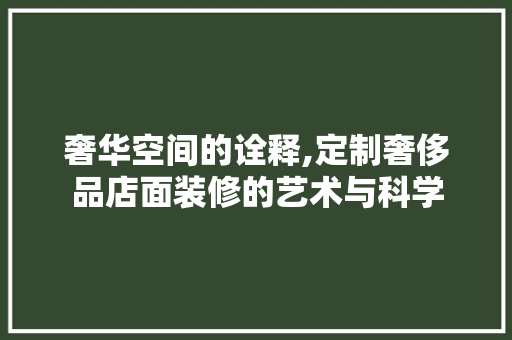 奢华空间的诠释,定制奢侈品店面装修的艺术与科学 现代风格装饰