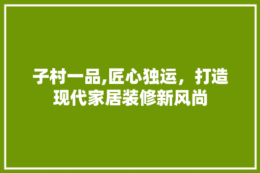 子村一品,匠心独运，打造现代家居装修新风尚 软装设计
