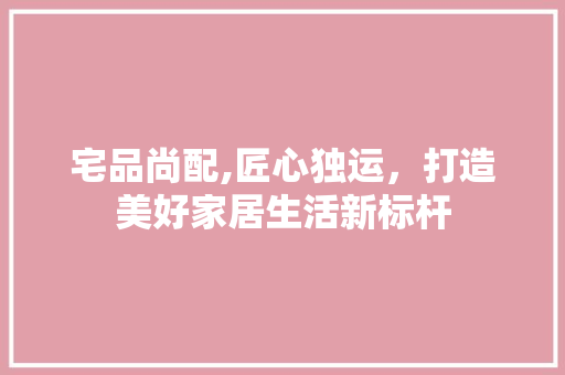 宅品尚配,匠心独运，打造美好家居生活新标杆 室内设计