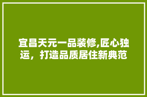 宜昌天元一品装修,匠心独运，打造品质居住新典范