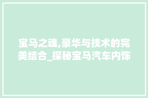 宝马之魂,豪华与技术的完美结合_探秘宝马汽车内饰装修艺术 现代风格装饰