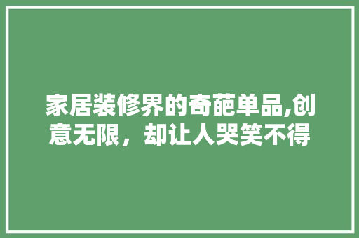 家居装修界的奇葩单品,创意无限，却让人哭笑不得