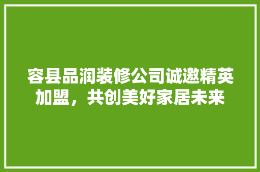容县品润装修公司诚邀精英加盟，共创美好家居未来 现代风格装饰