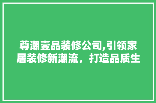 尊潮壹品装修公司,引领家居装修新潮流，打造品质生活新标杆 现代风格装饰