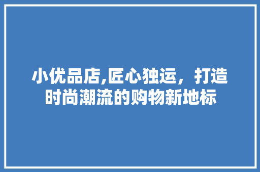 小优品店,匠心独运，打造时尚潮流的购物新地标 室内设计