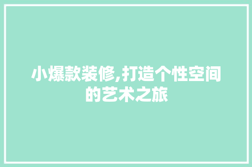 小爆款装修,打造个性空间的艺术之旅 现代风格装饰