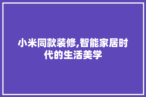 小米同款装修,智能家居时代的生活美学