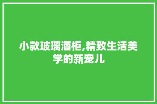 小款玻璃酒柜,精致生活美学的新宠儿 客厅装修