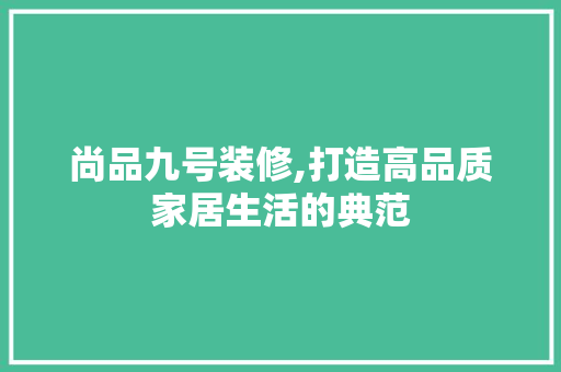 尚品九号装修,打造高品质家居生活的典范 现代风格装饰