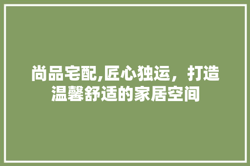 尚品宅配,匠心独运，打造温馨舒适的家居空间 软装设计