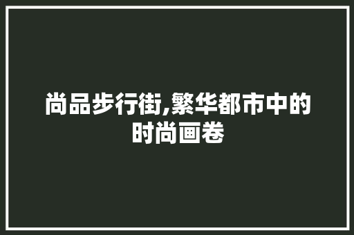 尚品步行街,繁华都市中的时尚画卷