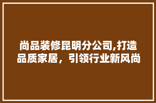 尚品装修昆明分公司,打造品质家居，引领行业新风尚 软装设计