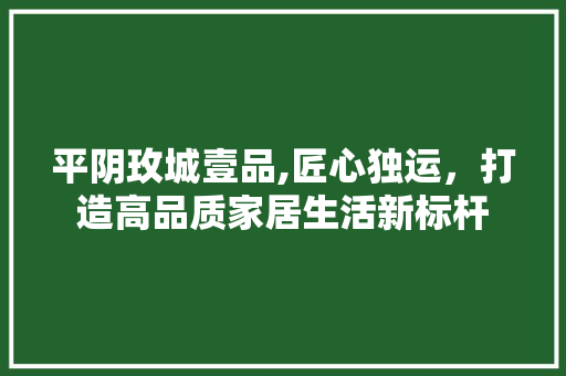 平阴玫城壹品,匠心独运，打造高品质家居生活新标杆 现代风格装饰
