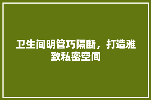 卫生间明管巧隔断，打造雅致私密空间 家居装修