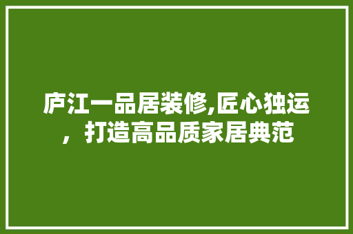 庐江一品居装修,匠心独运，打造高品质家居典范