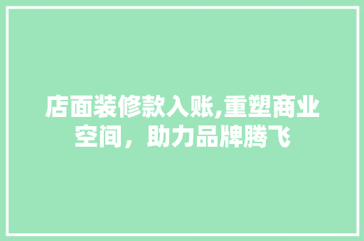 店面装修款入账,重塑商业空间，助力品牌腾飞 家居装修