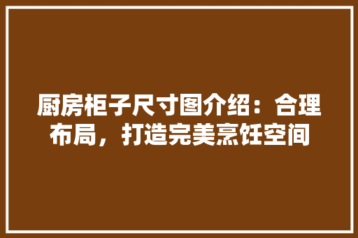 厨房柜子尺寸图介绍：合理布局，打造完美烹饪空间