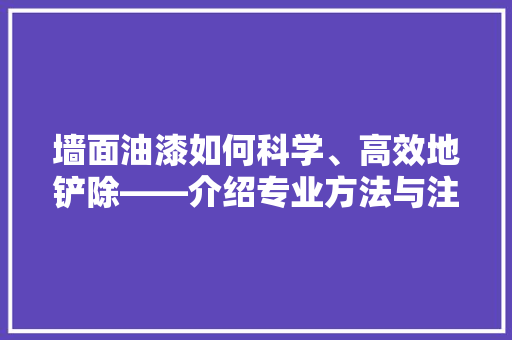 墙面油漆如何科学、高效地铲除——介绍专业方法与注意事项 现代风格装饰