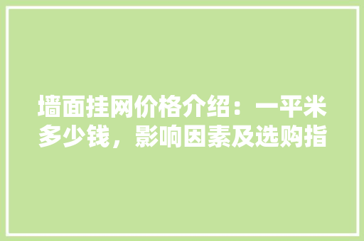 墙面挂网价格介绍：一平米多少钱，影响因素及选购指南 软装设计