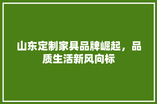 山东定制家具品牌崛起，品质生活新风向标