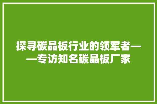 探寻碳晶板行业的领军者——专访知名碳晶板厂家