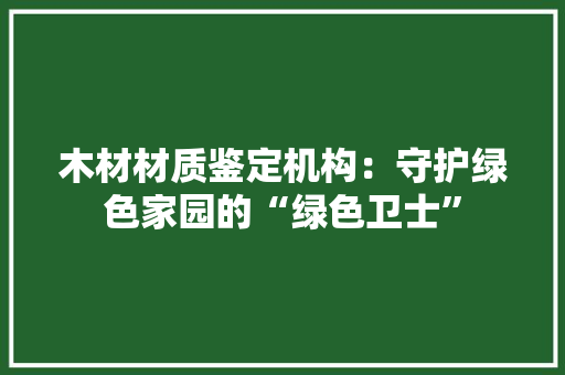 木材材质鉴定机构：守护绿色家园的“绿色卫士” 现代风格装饰