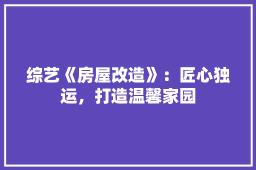 综艺《房屋改造》：匠心独运，打造温馨家园