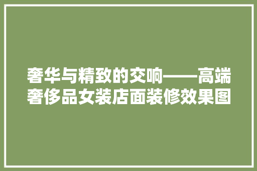 奢华与精致的交响——高端奢侈品女装店面装修效果图赏析