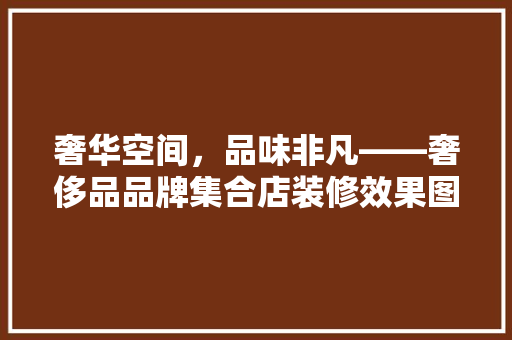 奢华空间，品味非凡——奢侈品品牌集合店装修效果图