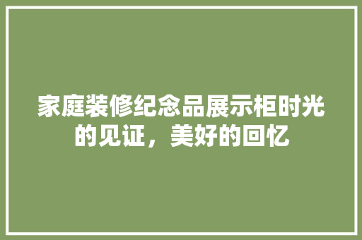 家庭装修纪念品展示柜时光的见证，美好的回忆