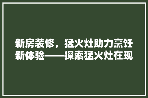新房装修，猛火灶助力烹饪新体验——探索猛火灶在现代家居中的魅力
